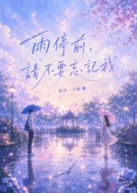 雨停前,请不要忘记我